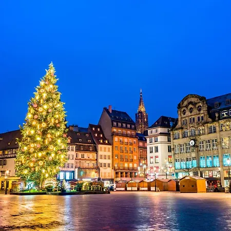 Appartement Bel Ami 01 - Turquoise&or - Moderne Chic - Centre - Accès Jardin - Clim - Wifi - Parking - Localisation Idéale Schiltigheim