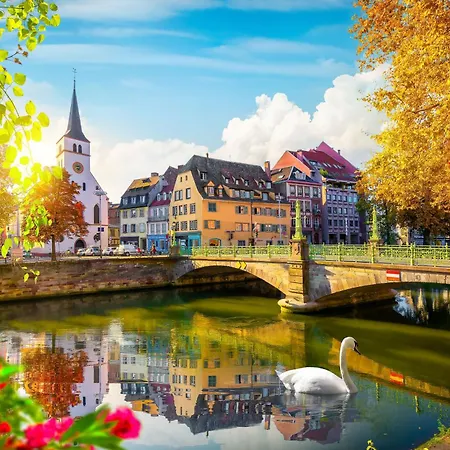 Appartement Bel Ami 01 - Turquoise&or - Moderne Chic - Centre - Accès Jardin - Clim - Wifi - Parking - Localisation Idéale Schiltigheim